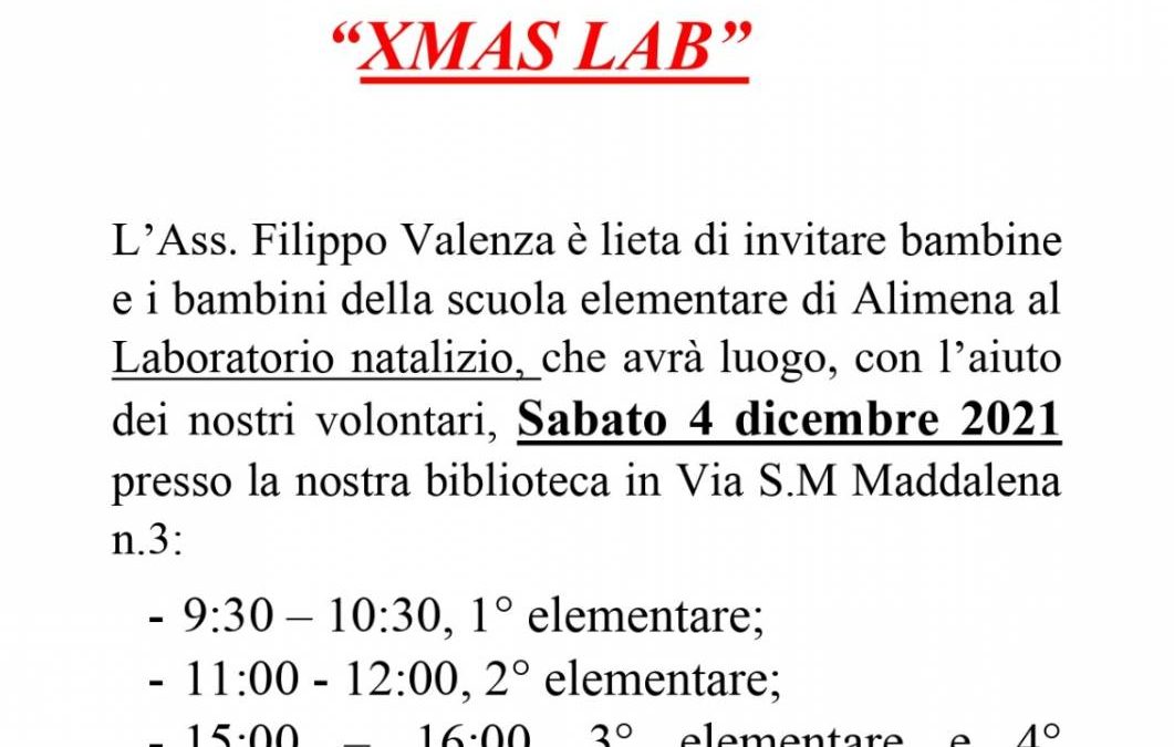 🌳🍀🌍XMAS LAB🐼🐼🐼